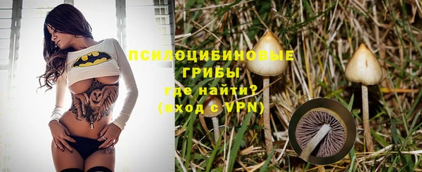 герыч Алексин